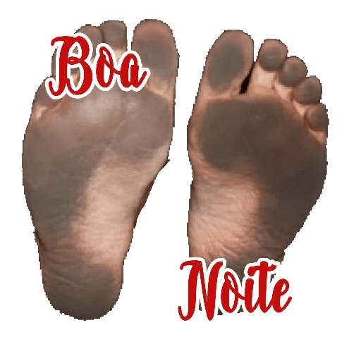 BomDiaTardeNoite1 8