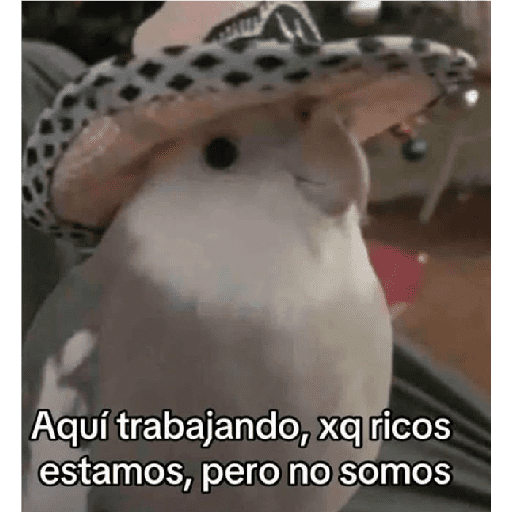Betinorama y mas 15