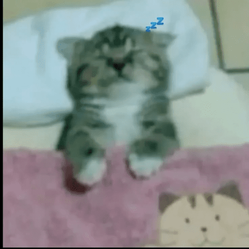 Hehehehehe 3