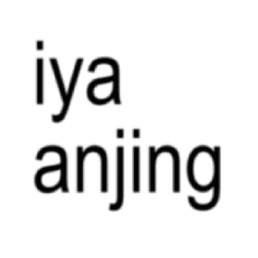 Asholew 6