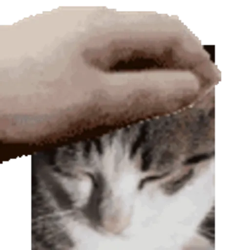 Gif stickers 2 8