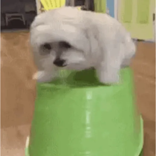 Gif stickers 2 4
