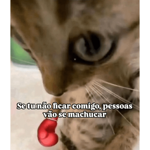 Animaiszinho 2.0 27