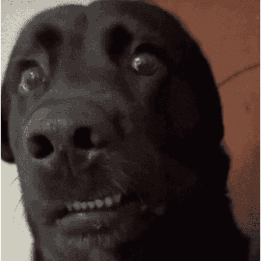 Animaiszinho 2.0 3