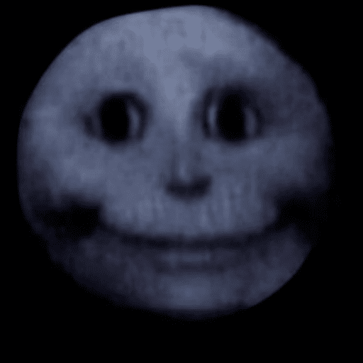 Chimichanga 6