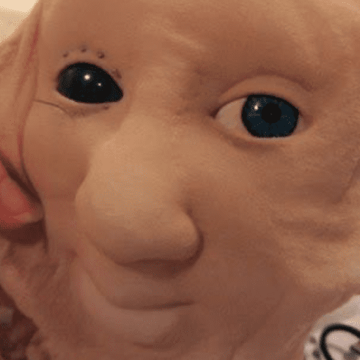 Chimichanga 14