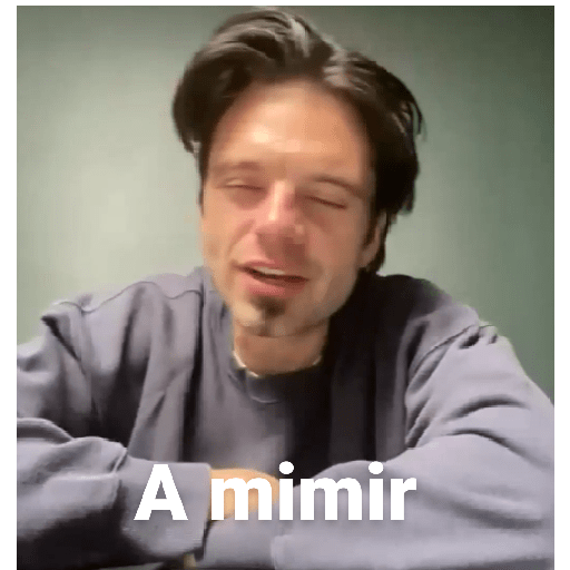Papuchos Caras cagadas 24