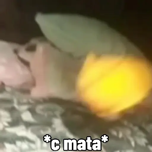 XD jajajaj 2
