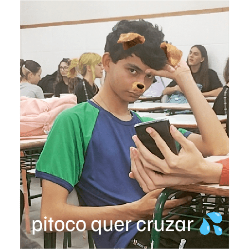 Amigos 15
