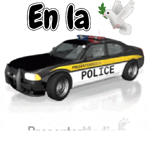 Omar gif 12