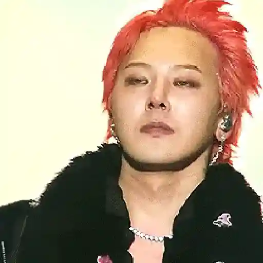 G-dragon 19