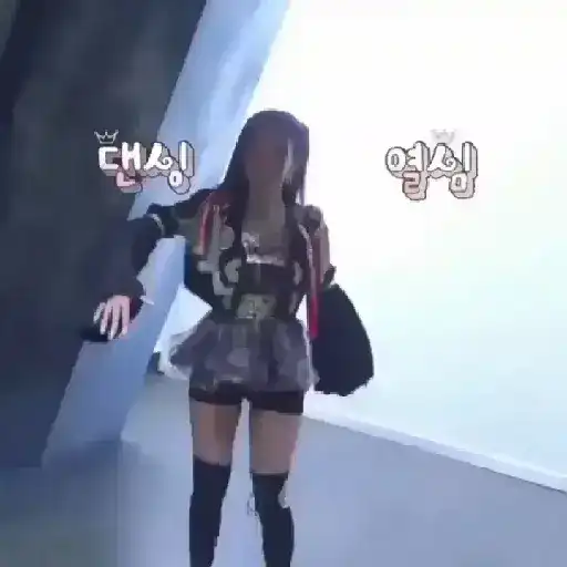 Blackpink Stickers  20
