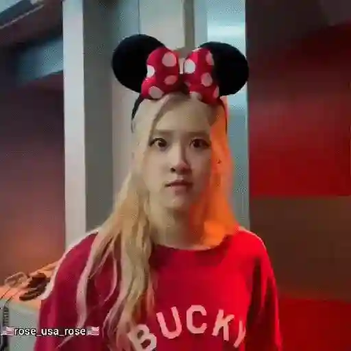 Blackpink Stickers  8