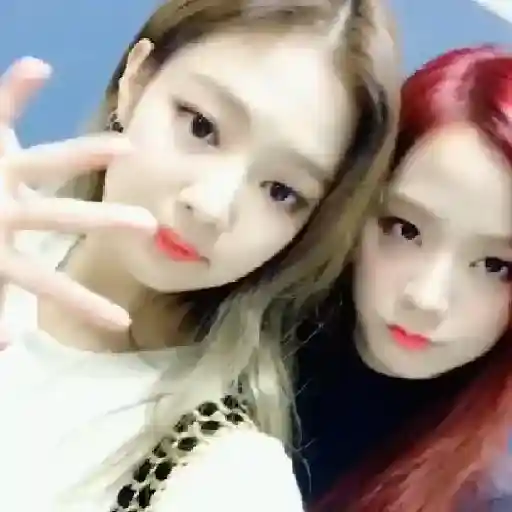 Blackpink Stickers  29