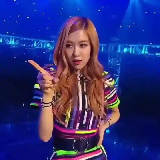 Blackpink Stickers  12