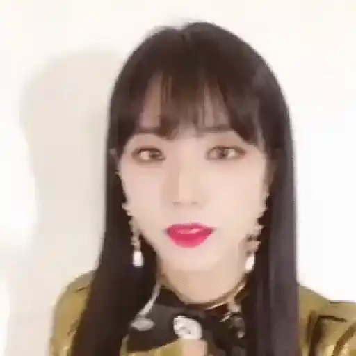 Blackpink Stickers  23