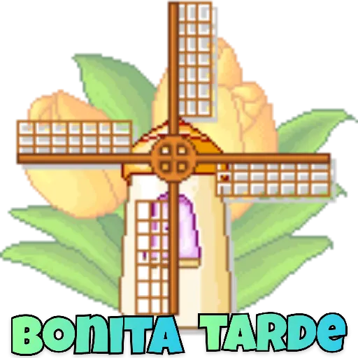 BONITA TARDE