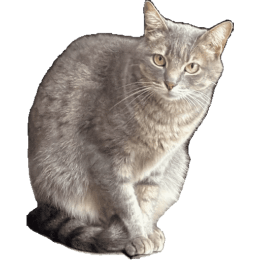 My stickers 14