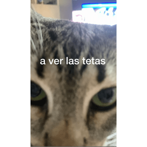 Mis pegatinas 27