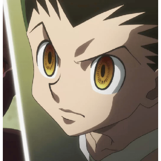 Gon 2 12