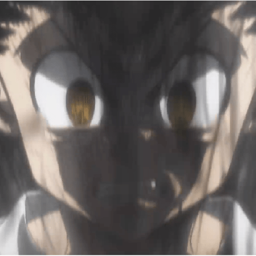 Gon 2 10
