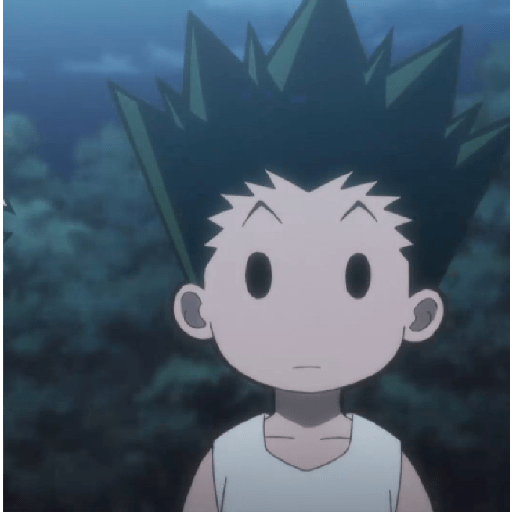 Gon 2 28