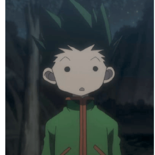 Gon 2 16
