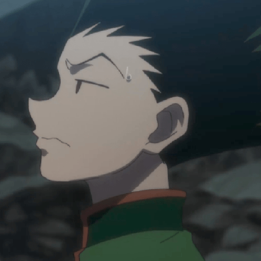 Gon 2 17