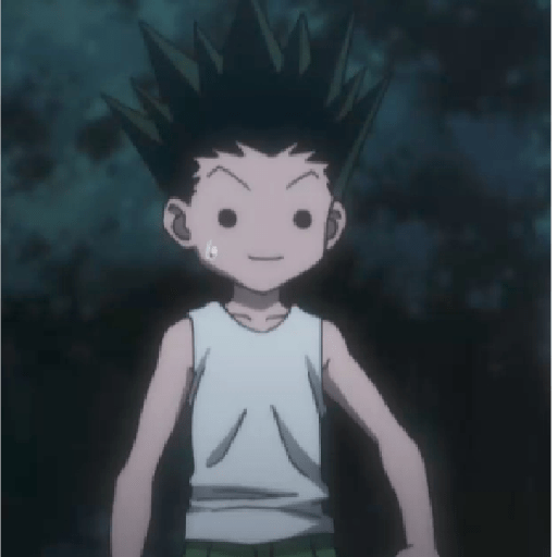 Gon 2 21
