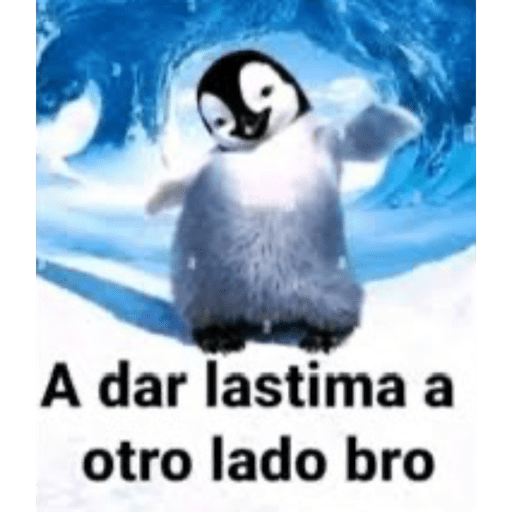 Xdp