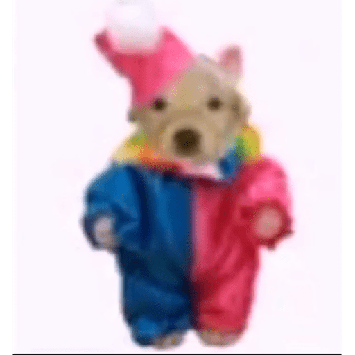 Perro pelon 2.1 7