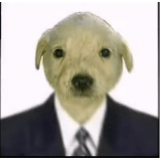 Perro pelon 2.1 3
