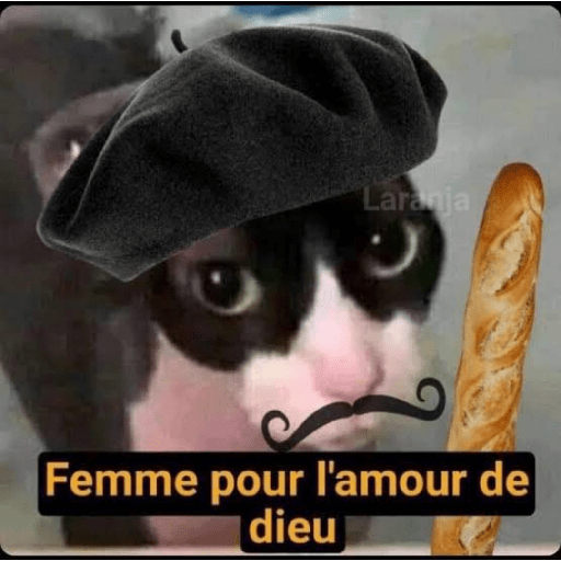 Le chat français 1