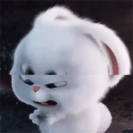 Lol 12