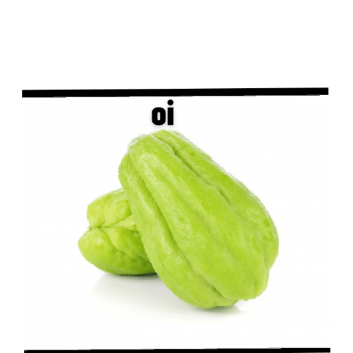 Xuxuzinho 2