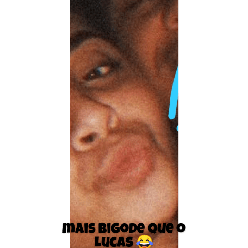 Xuxuzinho 29