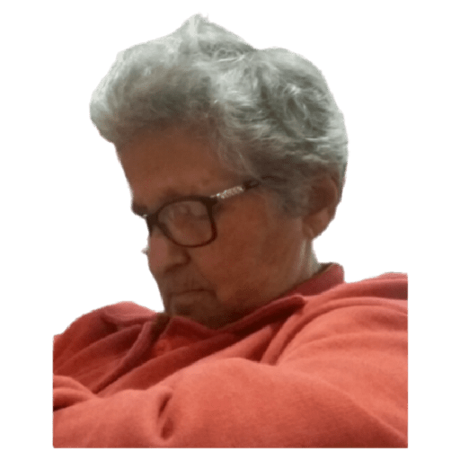 Xuxuzinho 14