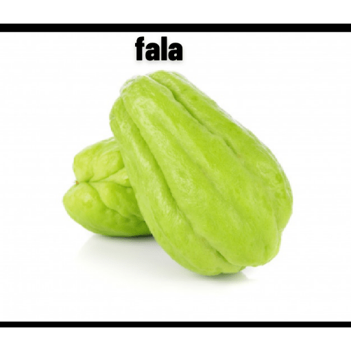 Xuxuzinho 8