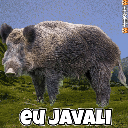 Stickers 15