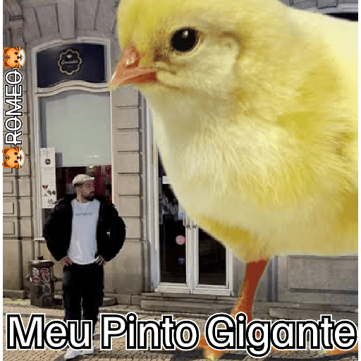Stickers 27
