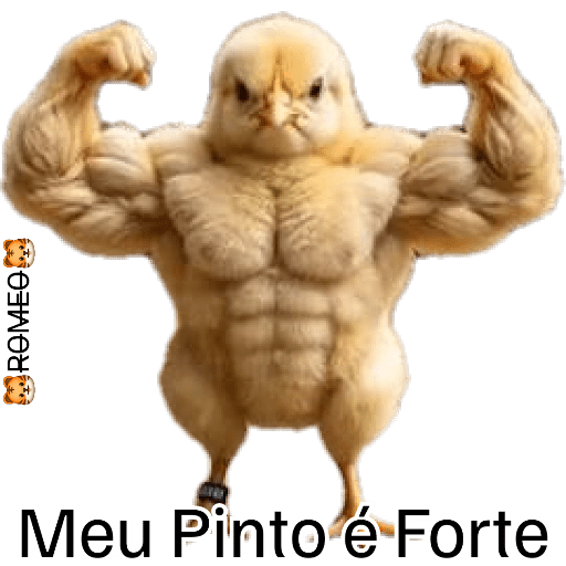 Stickers 28