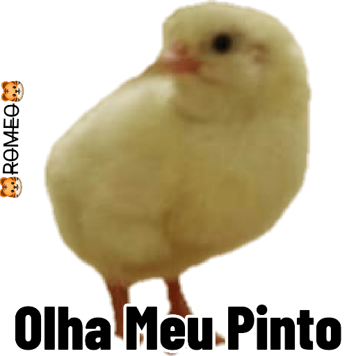 Stickers 29