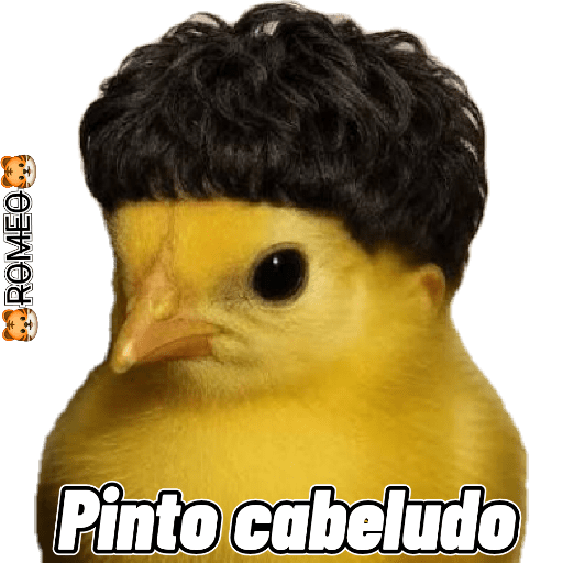 Stickers 20