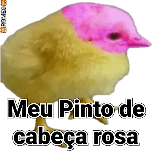 Stickers 22