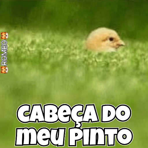 Stickers 24