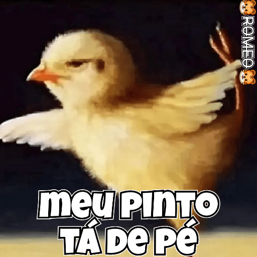 Stickers 25