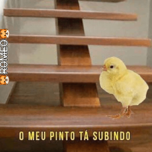 Stickers 26