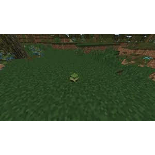 Minecraft <3 15