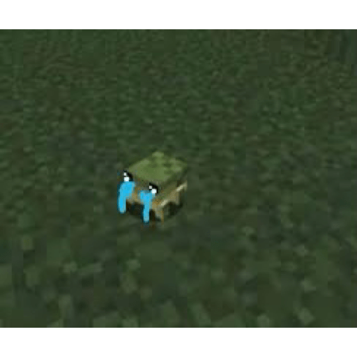 Minecraft <3 19