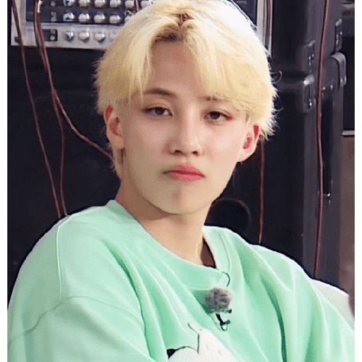 Just jeonghan 22